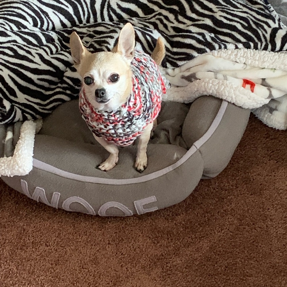 Meet your Posher, Nicole